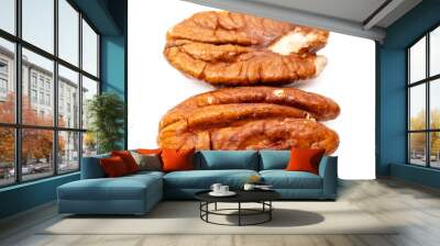 Pecan nuts in air on white background Wall mural