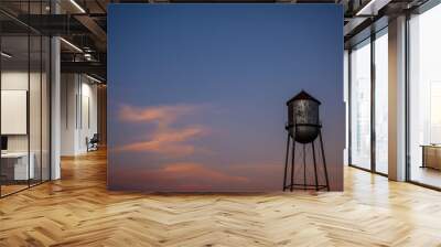 Pflugerville Historic Water Tower Wall mural