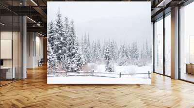 Winter Landscape Wall mural