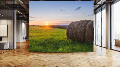 Hay Wall mural