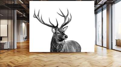 Male red deer at Old John in Bradgate Country Park Wall mural