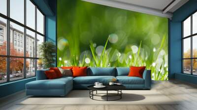 Morning Dew On Green Grass, Water Droplets Grass, Beautiful Green Spring Nature Background Wall mural