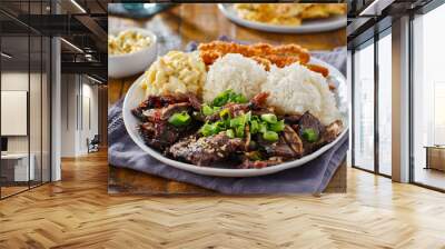 hawaiian bbq plate with mix of chicken katsu, korean kalbi beef short ribs, rice, and macaroni salad Wall mural