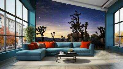 stars in the sky at joshua tree national park Wall mural