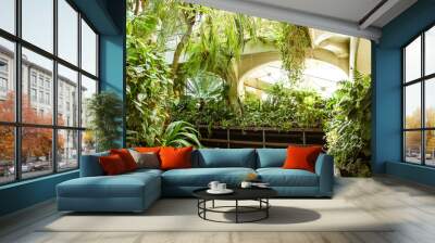 Tropical greenhouse glasshouse sunny interior full of natural lush green rain forest plants.  Indoor decorative plants. Botanical garden conservatory. Modern interior design. Wall mural