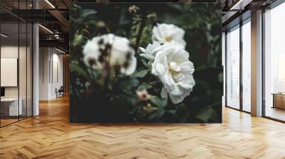 White flowers with dark moody green leaves Wall mural