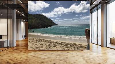 person on the beach Wall mural