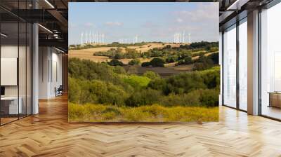 Wind turbine farm on open field in Cadiz province, Andalusia Wall mural