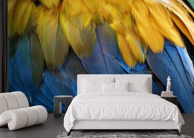 colorful of blue and gold bird s feathers exotic nature background and texture macaw feathers wing macaw Wall mural