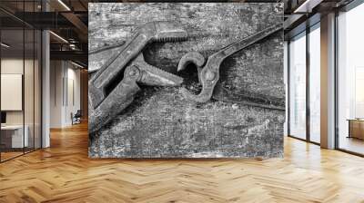 Two grey pliers on gray background Wall mural