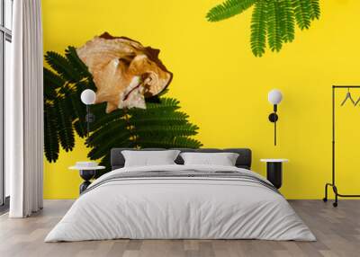 A shell and a palm tree on a bright yellow background Wall mural