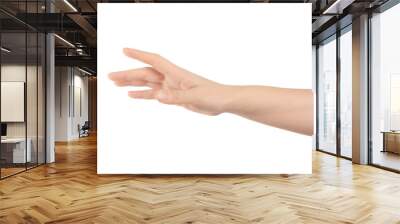 Close up of hand trying to reach for someone or something. Gesture of giving or asking help or sign for lust isolated on transparent png background. Carrying for you.  Gentle motion and gesture female Wall mural