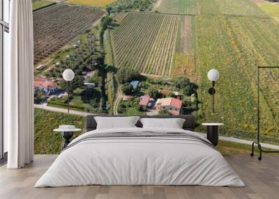 Aerial view of a beautiful Tuscany countryside landscape in spring season. Meadows and blue sky, Italy Wall mural