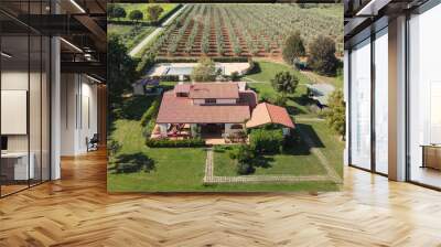 Aerial view of a beautiful Tuscany countryside landscape in spring season. Meadows and blue sky, Italy Wall mural