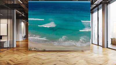 Aerial view of beautiful waves along the seashore on a sunny day, holiday and travel concept Wall mural