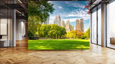 Beautiful foliage colors of New York Central Park Wall mural