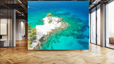 Cape Amarandos beach in Skopelos, Greece - Aerial view Wall mural