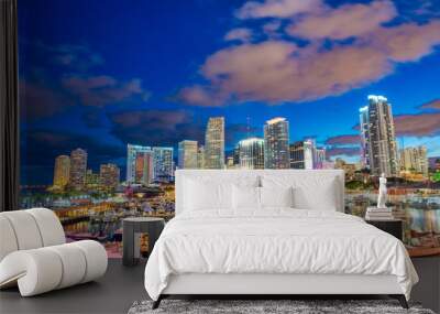 Downtown Miami skyline from Port Boulevard at night Wall mural