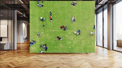 ninety degrees view of people relaxing on a meadow Wall mural