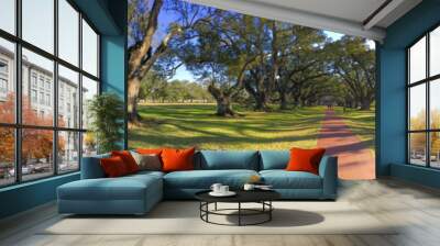 Oak Alley plantation trees on a beautiful sunny day, Louisiana - Panoramic view Wall mural