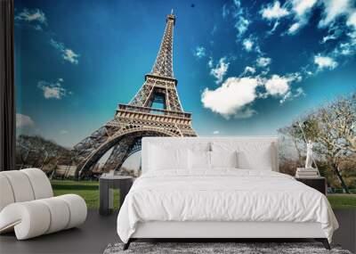 Paris, France. Wonderful view of Tour Eiffel with gardens and co Wall mural