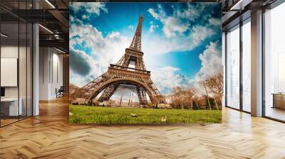 Paris. Wonderful wide angle view of Eiffel Tower from street lev Wall mural