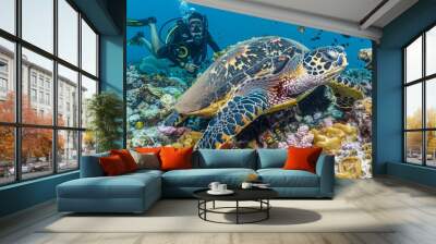 Female scuba diver taking a photo of Hawksbill Turtle swimming over coral reef in the blue sea. Marine life and Underwater world concepts Wall mural