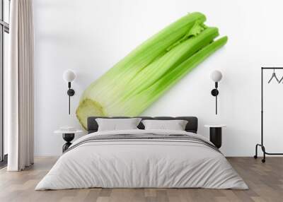 fresh tasty celery Wall mural