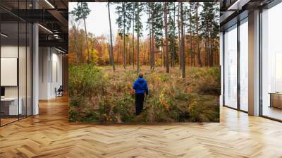 Boy in blue jacket in the forest within autumn landscape Wall mural