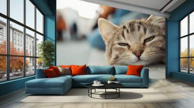 A gentle tabby cat with sleepy eyes resting its head on a weathered surface, capturing a moment of quiet and relaxation in a calm, urban environment. Wall mural