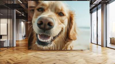 A joyful woman and her golden retriever taking a selfie on a sunny beach day. Both are smiling widely, exuding happiness and companionship in a bright outdoor setting. Wall mural