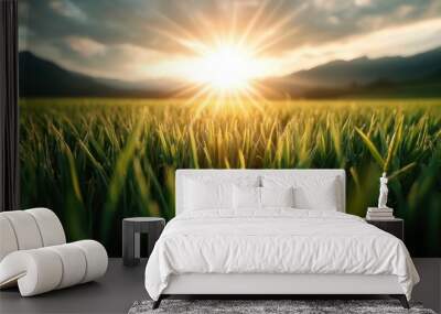 As the sun rises, it illuminates the lush green growth of the field, highlighting nature's beauty and fostering a sense of hope and the dawn of a new day. Wall mural