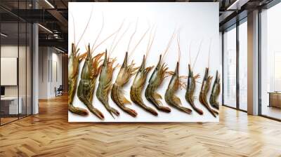 fresh shrimp seafood product Wall mural