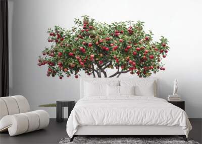 A apple tree with fruit isolated over white background Wall mural