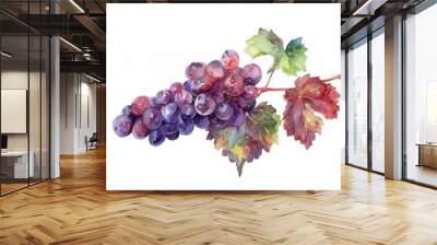 A bunch of grape fruit isolated over white background Wall mural