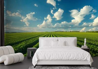 Beautiful abstract pattern of green crops field in farm land. Wall mural