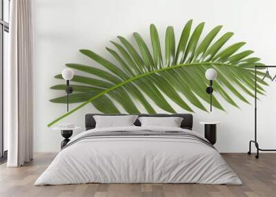 Coconut tree leaf isolated over white background Wall mural