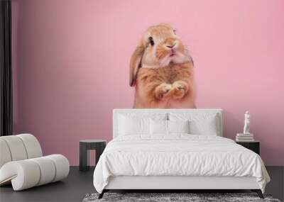 Cute standing baby rabbit with pink background. Wall mural