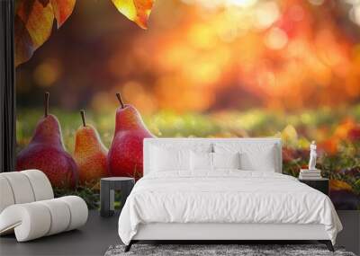 Fresh colorful pear on grass ground in orchard with trees Wall mural