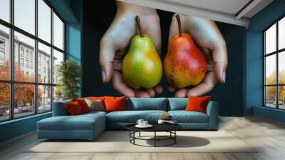 Fresh pear fruit in hands of farmer Wall mural