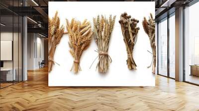 Golden wheat ear over white background. Wall mural