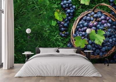 Grape fruit in basket on lawn Wall mural