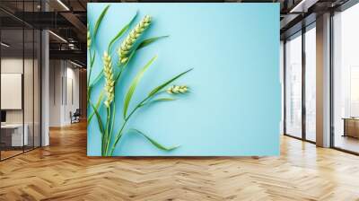 Green young wheat ear over plain blue background Wall mural