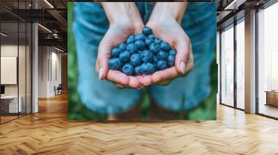 Hand holding blueberry fruit Wall mural