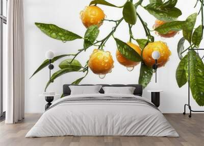 Orange plant branch with fruit Wall mural