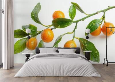 Orange plant branch with fruit Wall mural