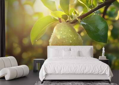 Ripe pear fruit growing on tree Wall mural