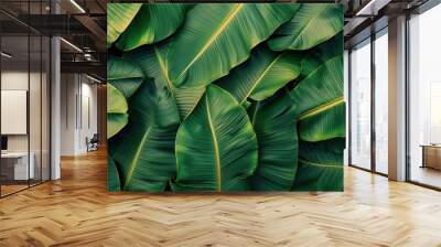 Seamless pattern background of fresh banana plant leaf Wall mural