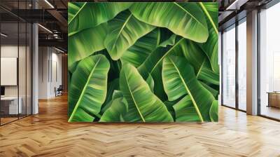 Seamless pattern background of fresh banana plant leaf Wall mural