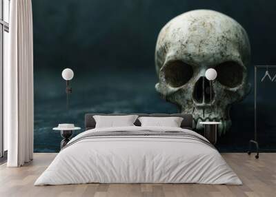 Skull with black background. Wall mural